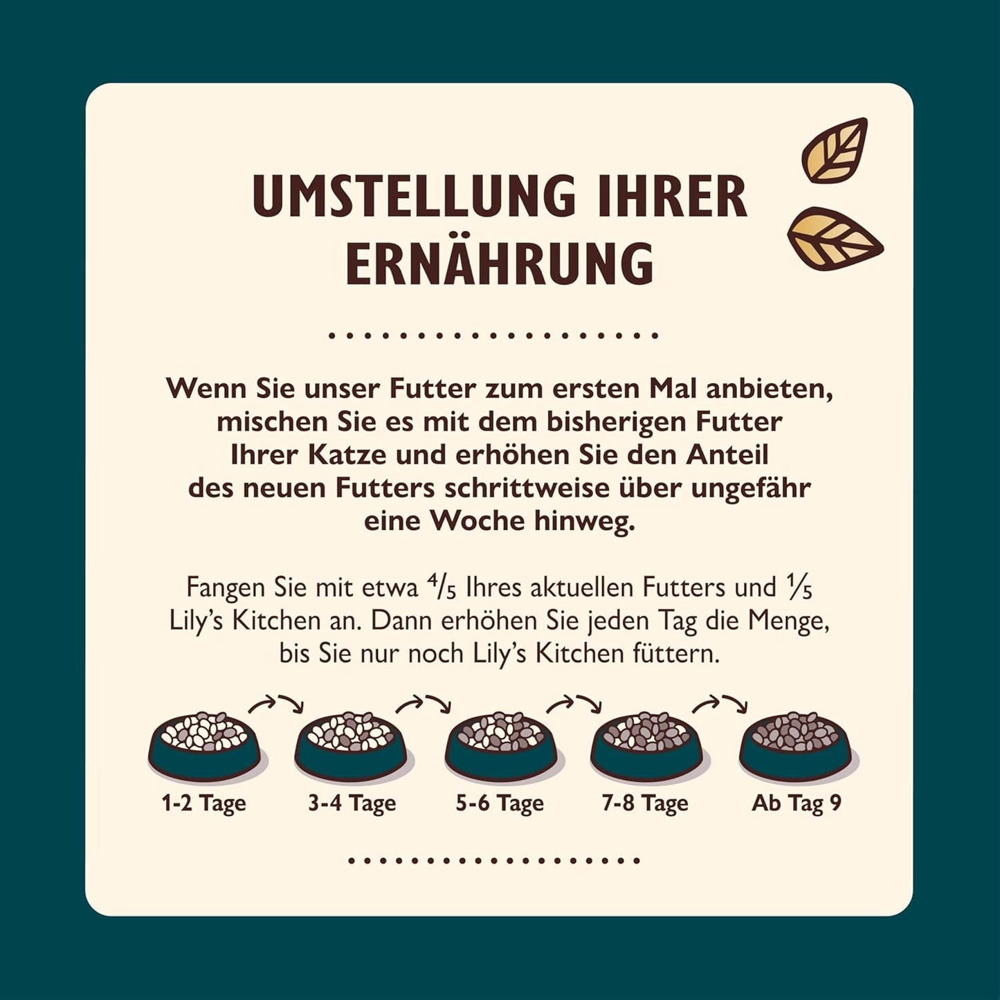 Gehackte Filets in Brühe mit Thunfisch und Lachs, zubereitet mit natürlichen Zutaten, Lily's Kitchen, Nassfutter für ausgewachsene Katzen, 70g-Box