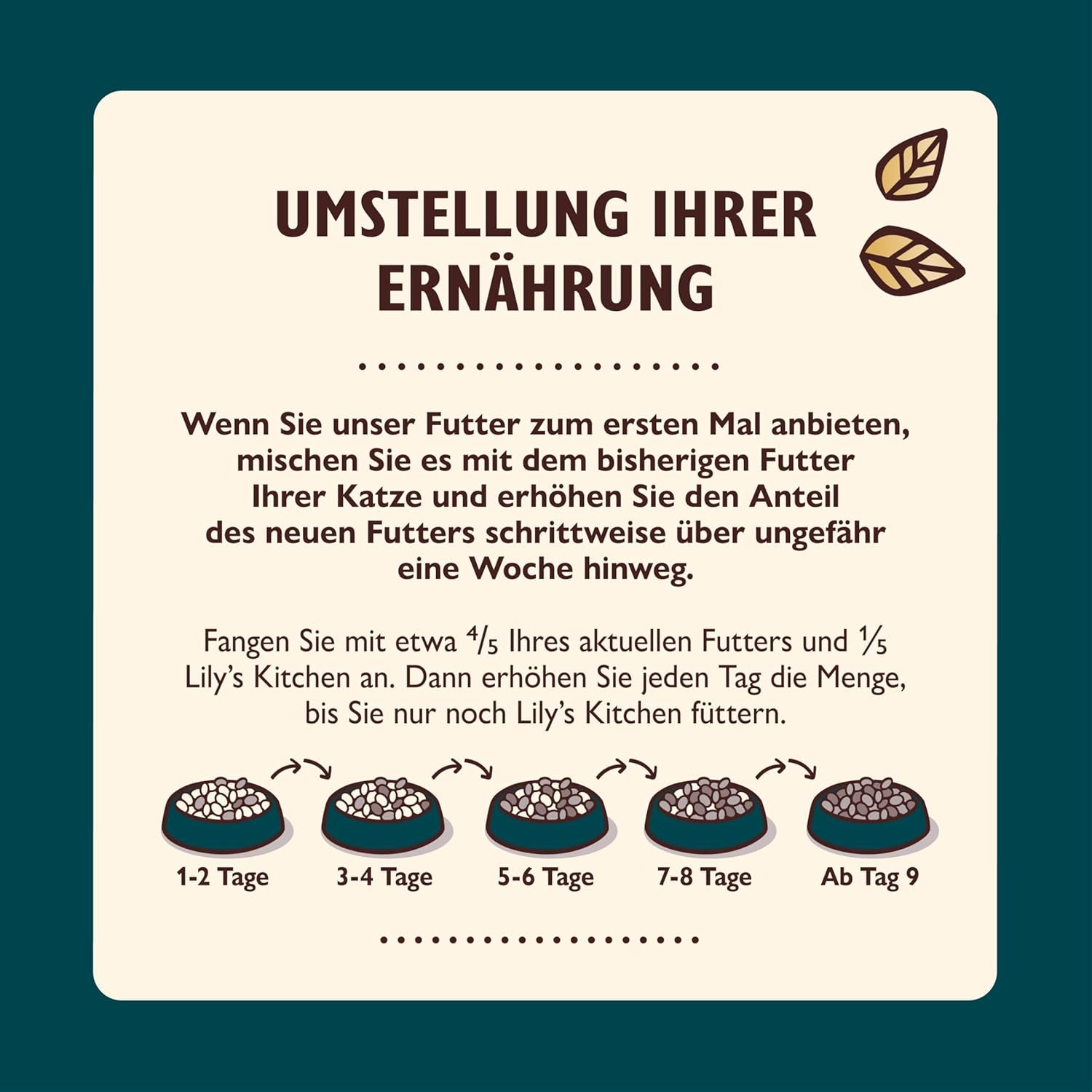 Gehackte Filets in Brühe mit Thunfisch und Lachs, zubereitet mit natürlichen Zutaten, Lily's Kitchen, Nassfutter für ausgewachsene Katzen, 70g-Box