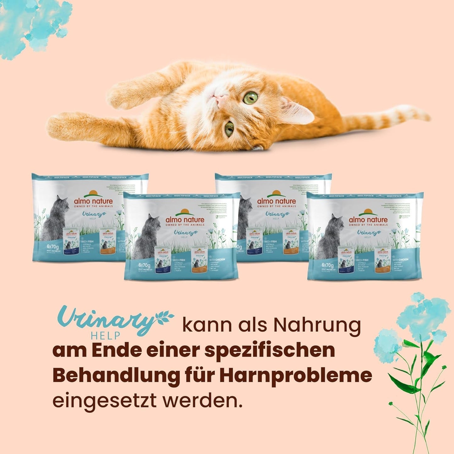 Almo Nature Functional Urinary Help – Nassfutter für ausgewachsene Katzen mit Fisch – Unterstützung für die Gesundheit der Harnwege – 30 Beutel à 70 g