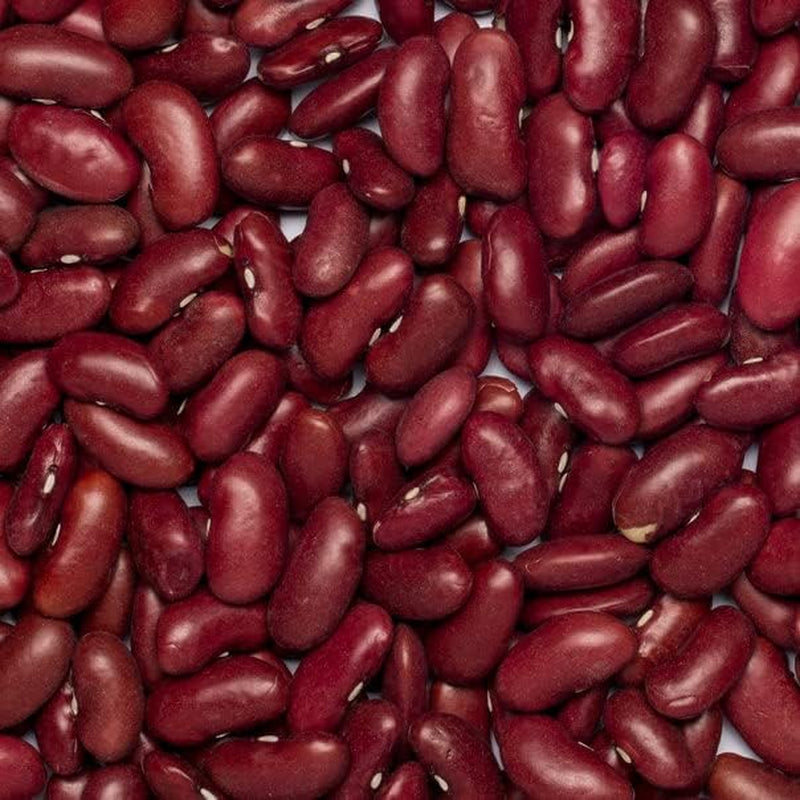 Rote Bohnen Wholefood Earth Bio 1kg Roh | Vegan | GVO-frei | Dunkelrot | Reich an Ballaststoffen | Reich an Protein | Bio-zertifiziert