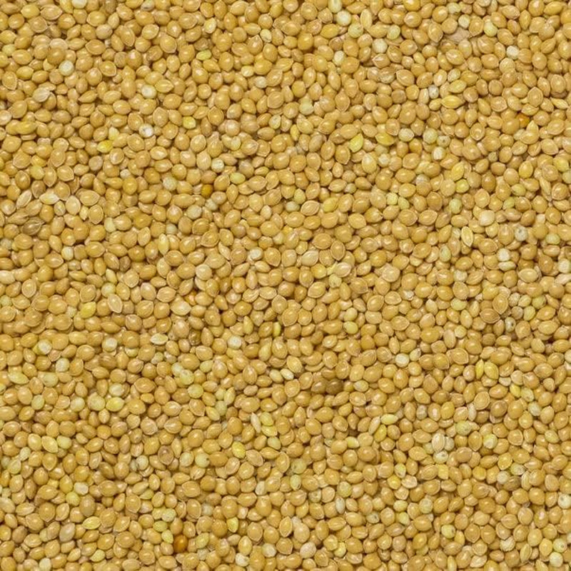 Erdvollkornhirse – gentechnikfrei – natürlich – vegan – milchfrei – ohne Zuckerzusatz – 1 kg