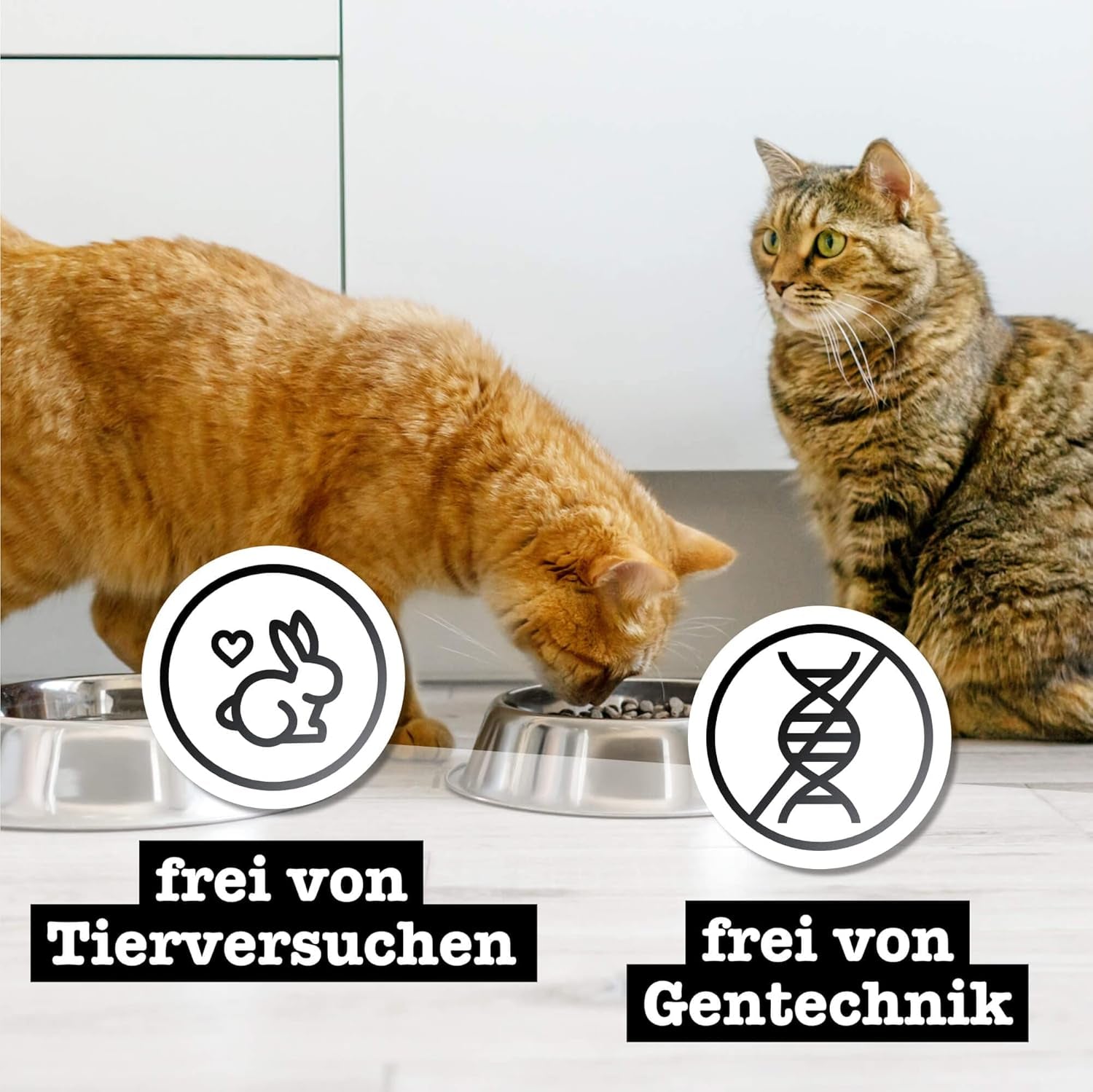 Nassfutter für Katzen Catz Finefood Purrrr mit Monoprotein und Lachs Nr. 105, für Katzen mit empfindlicher Verdauung, 16 x 80 g