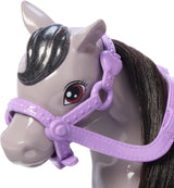 Chelsea und Ponys Barbie-Puppe – Anschnallen zum sicheren Spielen und Fahren, rosafarbener Sattel und Stufen, inklusive Helm und niedlichem kariertem Kleid, ab 3 Jahren, HTK29