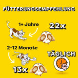 DREAMIES SHAKE UPS Multivitamin Seafood Festival Katzensnacks in Portionsbeuteln – 55 g (6 Beutel)