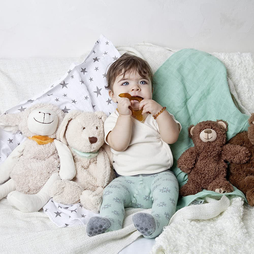 GRÜNSPECHT Beißring aus Bio-Naturkautschuk für zahnende Babys, massiert das Zahnfleisch, BPA-frei, weich, fördert die Feinmotorik, Schildkröte (639-V2), braun