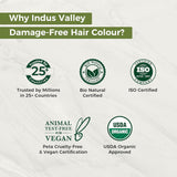 Indus Valley Natural Damage Free Gel-Haarfarbe | Ammoniakfrei, vegan und tierversuchsfrei | Bis zu 100 % Grauabdeckung, langanhaltende Ergebnisse | Helles Kastanienbraun 5,0 (20 Gramm + 200 ml) Naty Shop Haarfärbemittel