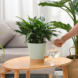 Blumentopf, 6 Stück, 12,7 cm, selbstbewässernder Übertopf, hohe Drainage, Blumentopf für drinnen und draußen, mit Reservoir-Tablett und Bewässerungsrand, Garten-Pflanzgefäß, Garten