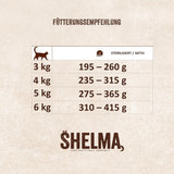 Shelma Nasses Katzenfutter Megapack mit Rind, Truthahn, Huhn und Ente – getreidefreies Vollfutter mit hohem Fleischanteil – 40 x 85 g (3,4 kg)
