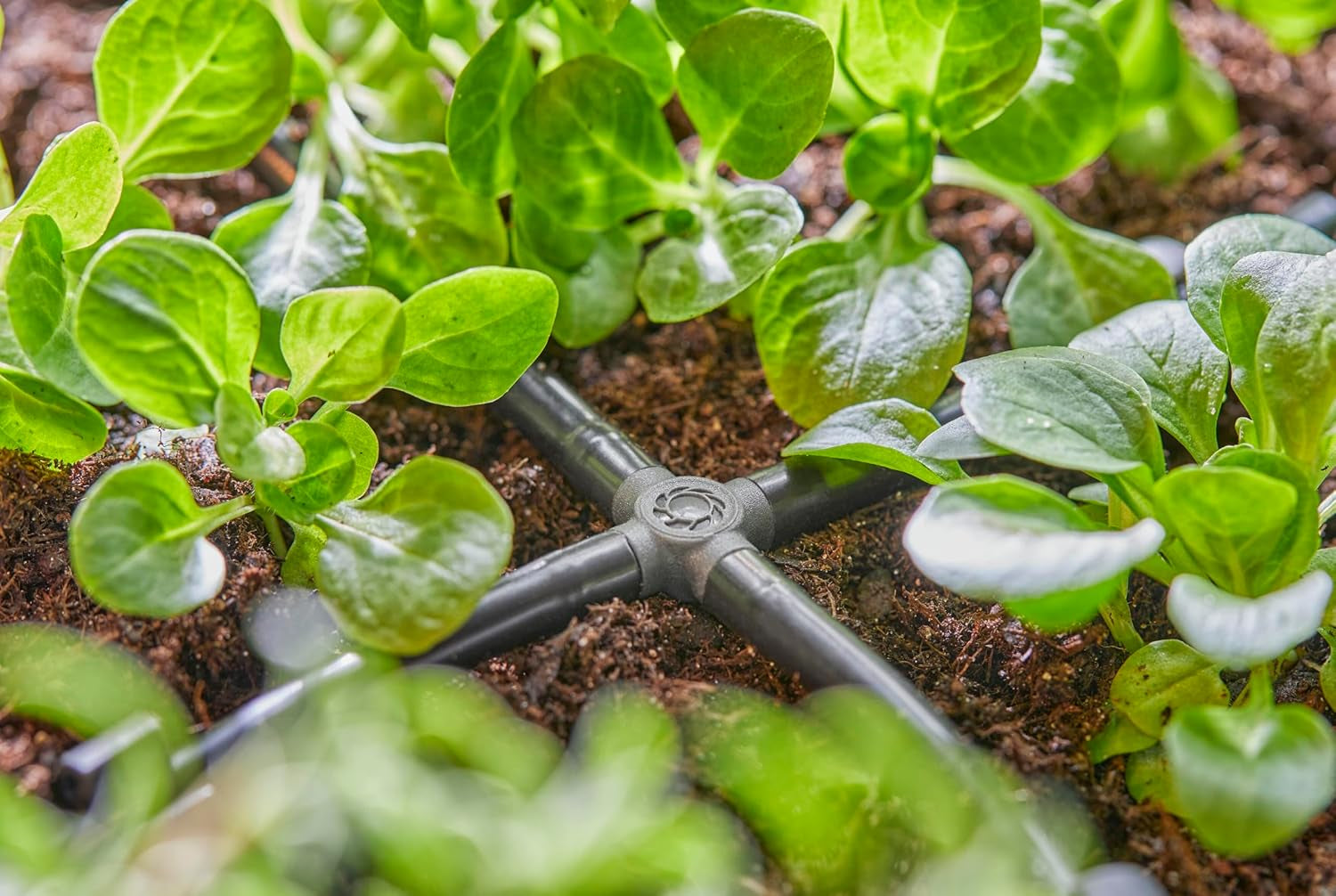 Gardena Micro-Drip-System - Querverbindung 4,6 mm (3/16 Zoll): Zubehör für Abzweigverteiler und Tropfleitungen, knickfreie Installation mit Easy & Flexible Verbindungstechnik (13214-20)