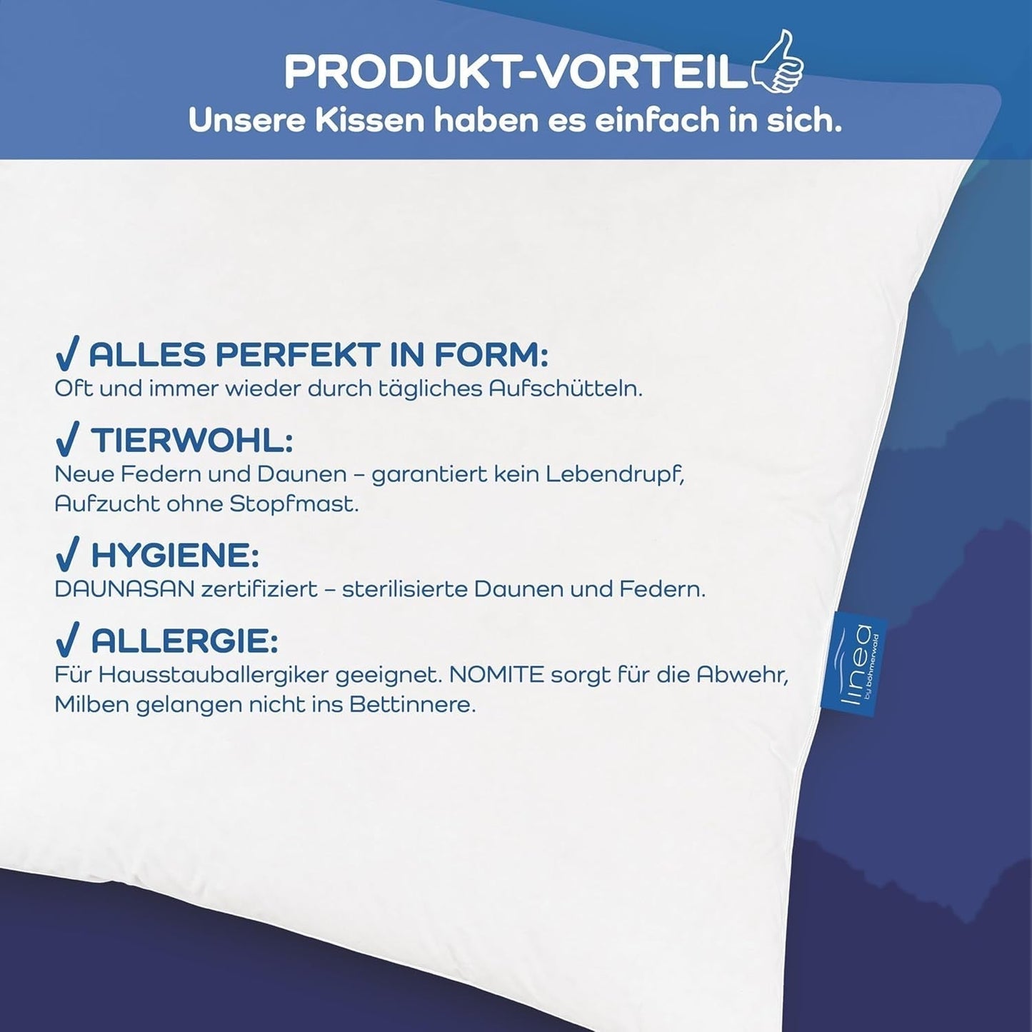 LINEA von Böhmerwald - Cozy - Hochwertiges Balance-Kissen, 80X80, 70 % Federn der Klasse 1, 30 % neue Daunen, allergikergeeignet, waschbar bis 60°C, hergestellt in Deutschland Naty Shop Standardkissen