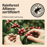 von Amazon Starke Pads, geeignet für Senseo-Maschinen, 36 Stück (1 Packung mit 36 ​​Stück) – Rainforest Alliance-zertifiziert