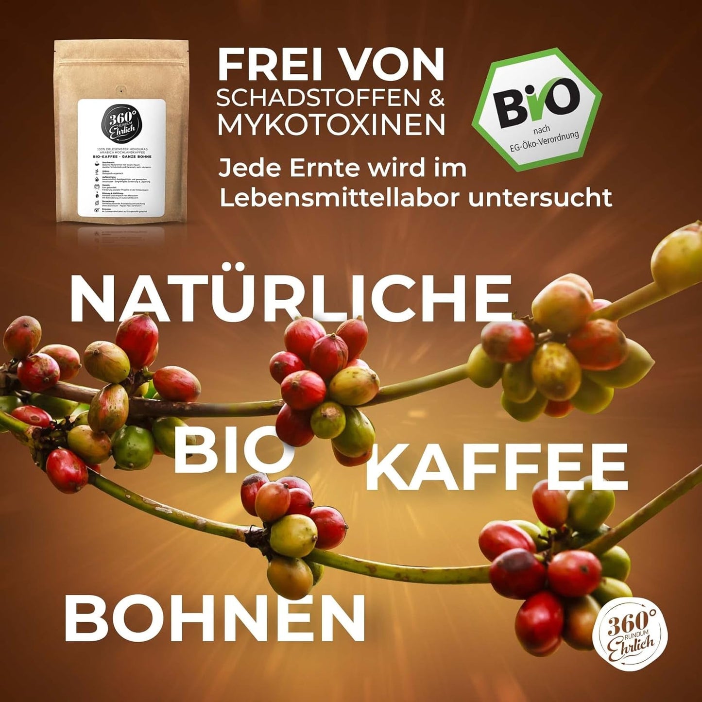 Premium Bio Kaffeebohnen 1000g, 100% Honduras Hochland Arabica Kaffeebohnen Bio - Köstlich, mild, säurearm - Bio Kaffee ganze Bohnen - Ideal als Kaffeebohnen Vollaautomat - 360° Rundum Ehrlich