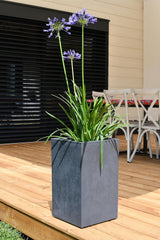 Basalt'Up Blumentopf, quadratisch, hoch, 36 l, Betonoptik, schlichte Wand, Wassertank, 29,5 x 29,5 x 49,5 cm, Anthrazitgrau