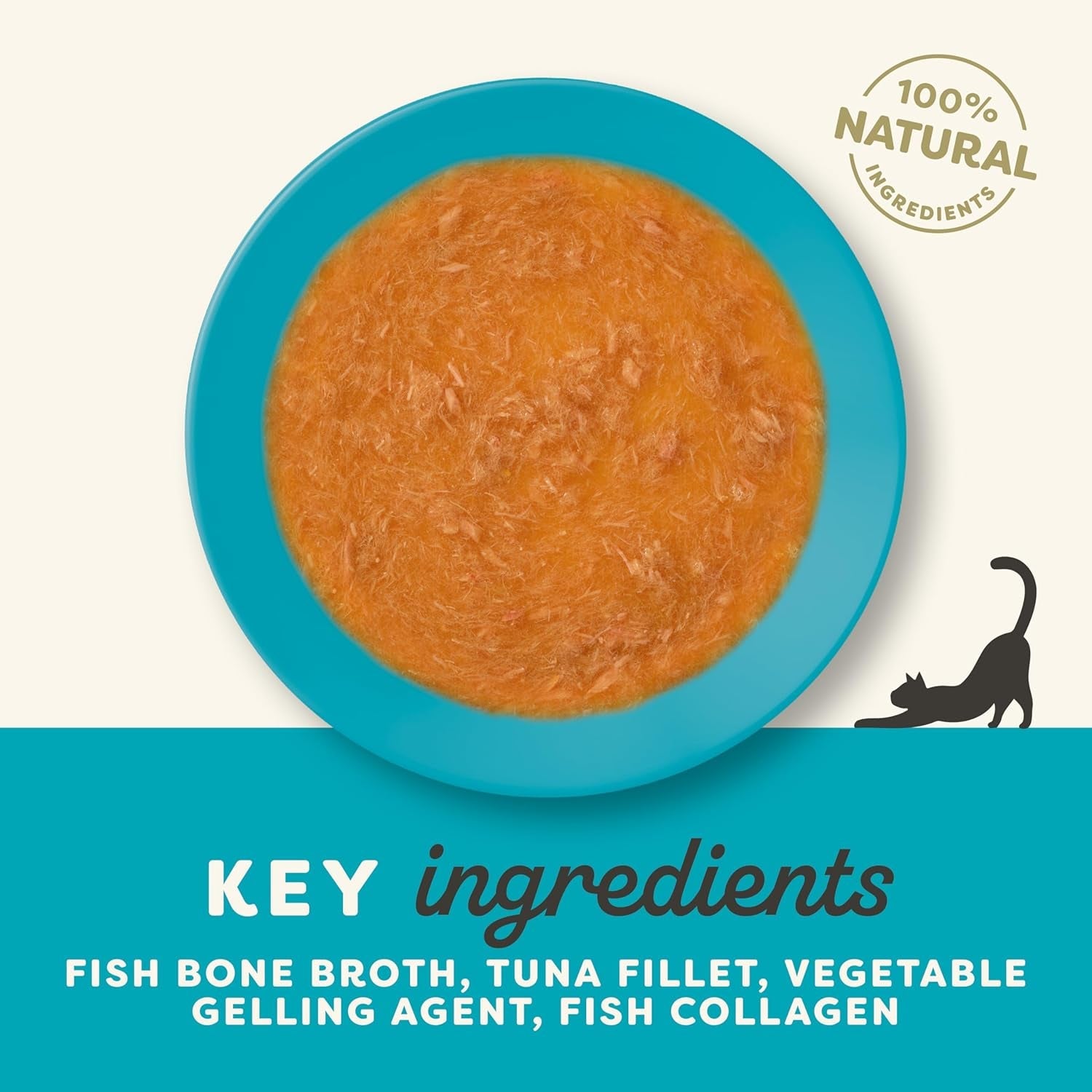 Applaws 100 % natürliches Nassfutter für Katzen – Fischgrätensuppe mit Thunfisch, 12 Filterbeutel x 85 g