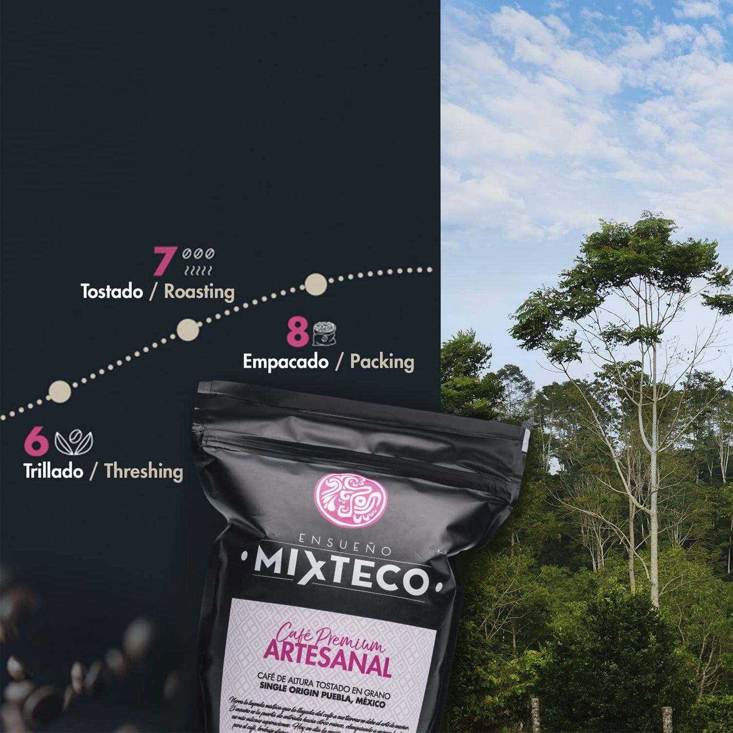 Geröstete Arabica-Kaffeebohnen | 500 g mit einem Hauch von Kakao und Mandeln | Von einer traditionellen Kaffeerösterei | Zarter Geschmack
