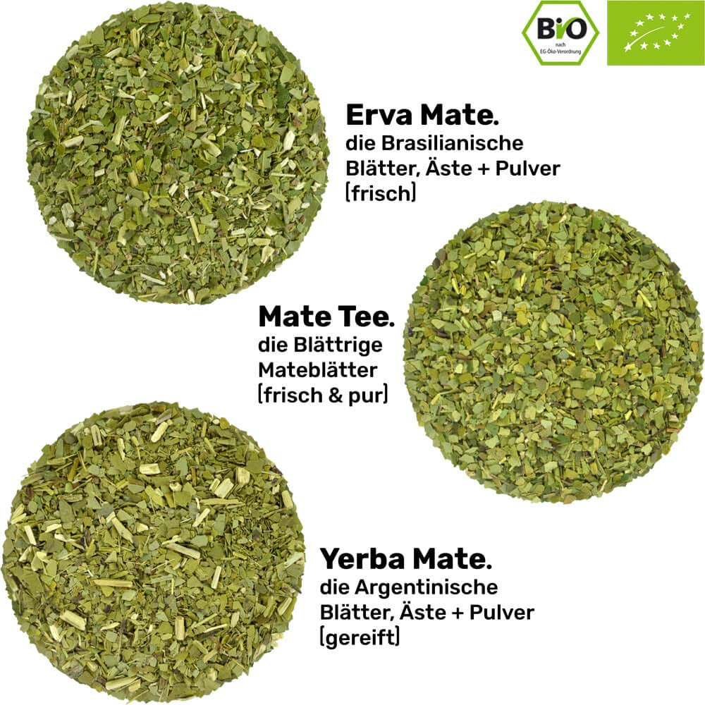 Mate Bio-Teeset ● 3 Sorten Mate + doppelwandiger Mate-Becher aus Edelstahl + Bombilla + Zubereitungsanleitung (schwarz)