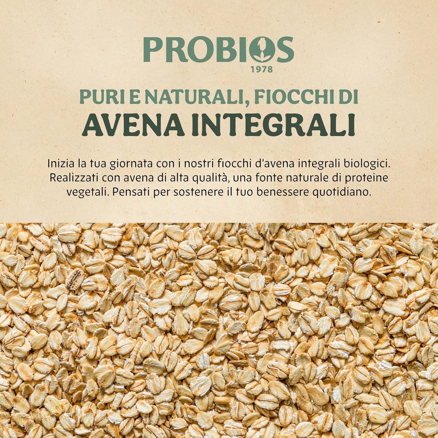 Leichte Bio-Cornflakes 500g pro Packung