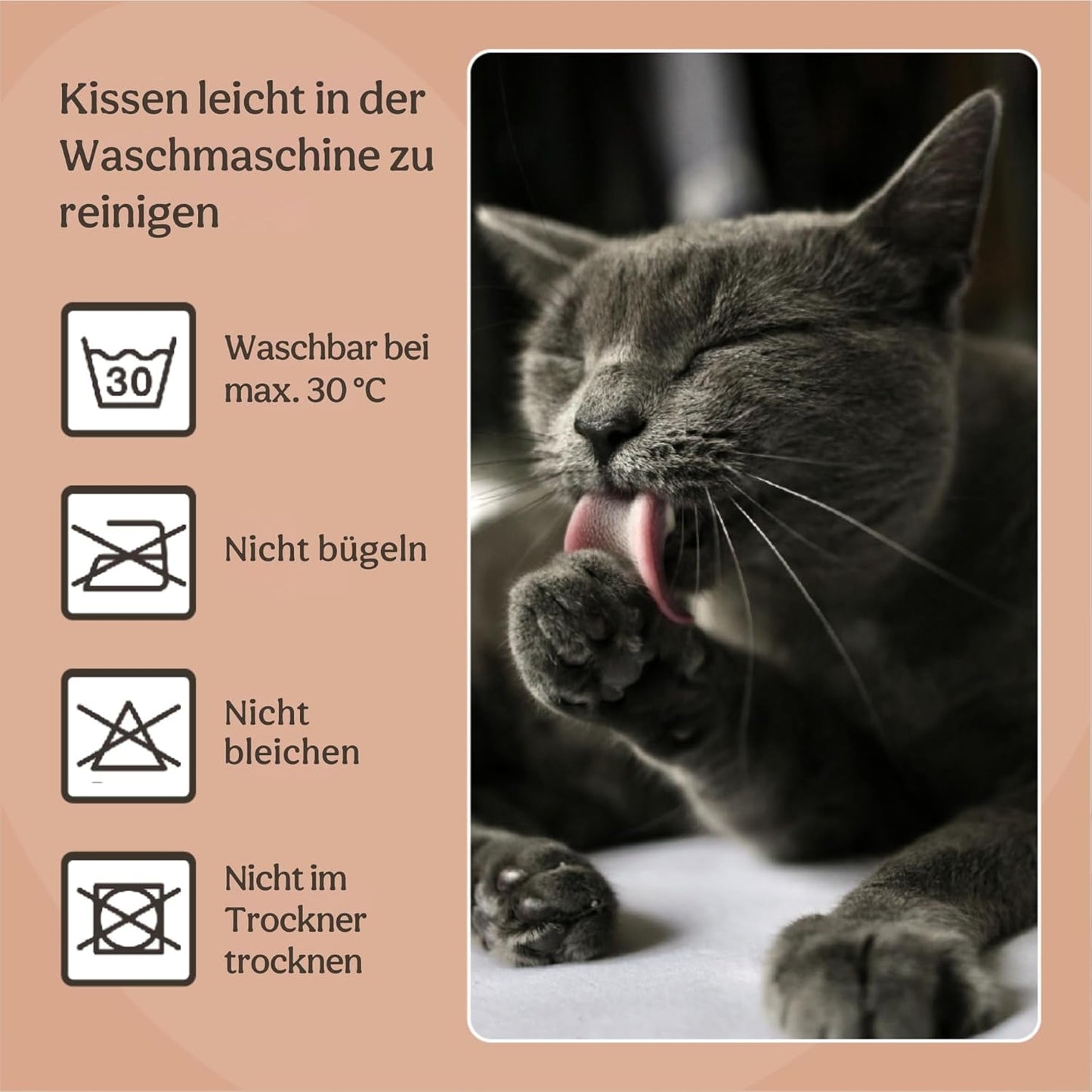Betten, Decken & Möbel, Haustiere, Katzen, Katzenbetten, Katzenbetten, Matratzen