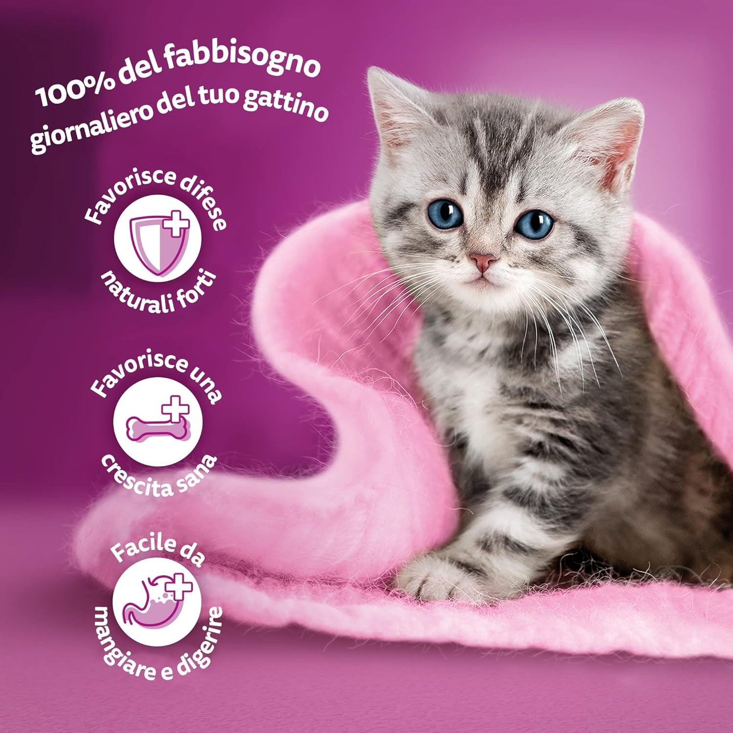 Whiskas Junior Classic Nassfutter für Katzen, 13 x 4 x 85 g