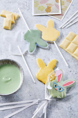 HEITMANN KREATIV - Schokoladenlutscher - Mit pflanzlichen Pulverfarben - Gelb und Grün - DIY-Set - Ostern