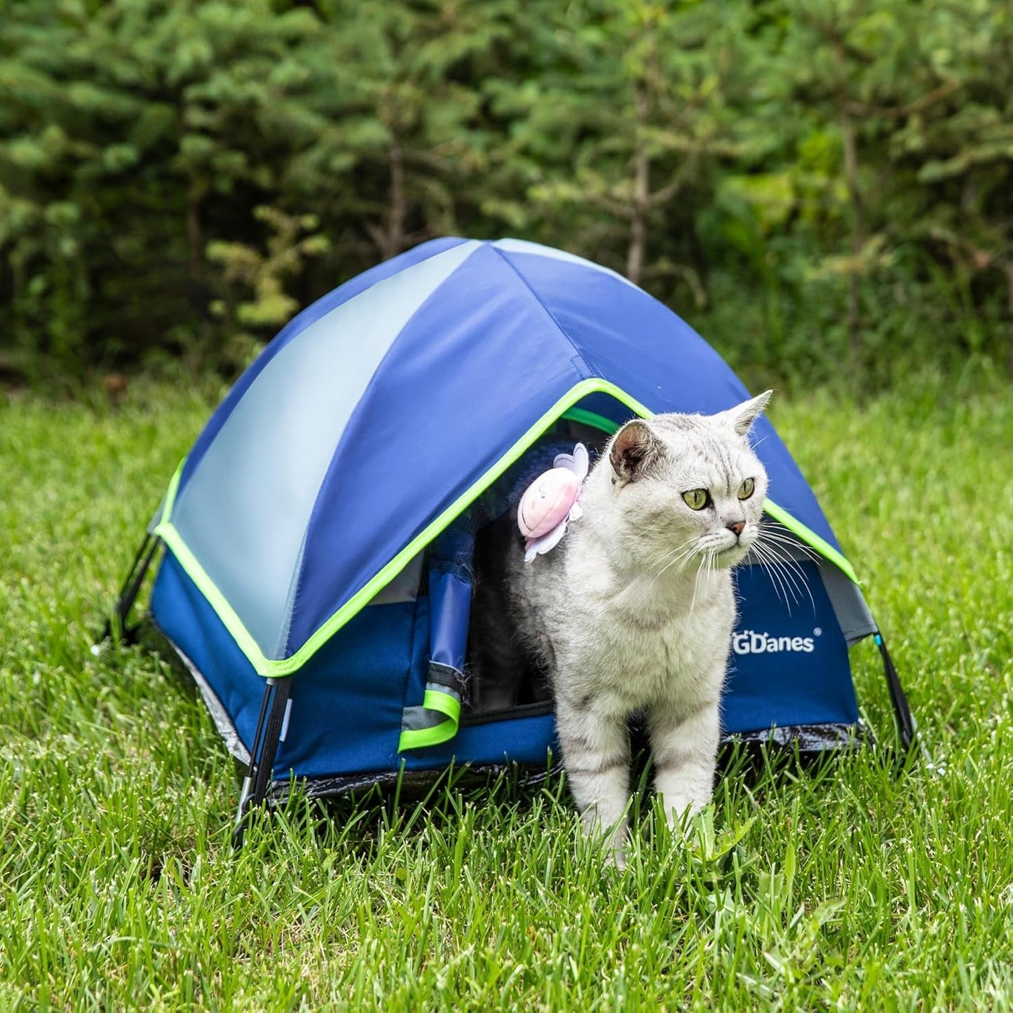 Decken und Möbel, Haustiere, Höhlen und Häuser, Katzen, Betten für Katzen, Katzenbetten, Matratzen