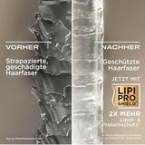 Shampoo mit Kokosmilch OGX (385 ml), feuchtigkeitsspendende Wirkung. Dusche und Bad Naty Shop