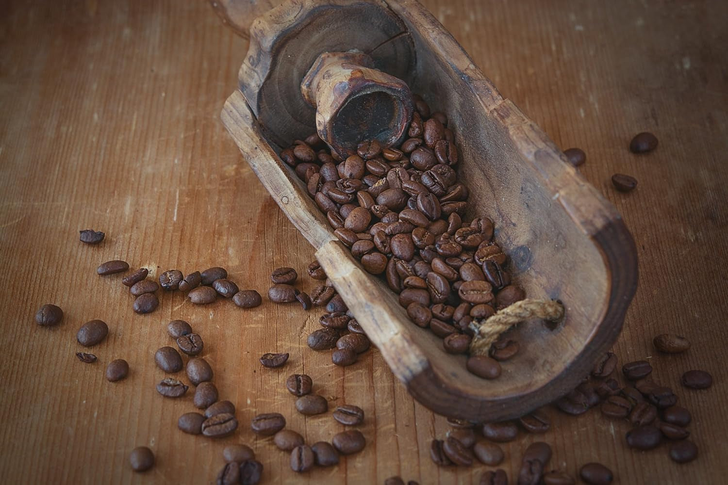 Spezialkaffee aus Südamerika – Galapagos, dem einzigartigen Ökosystem der Inseln (500 Gramm, ganze Bohnen) – Single Origin Kaffee – Premiumkaffee – geringer Säuregehalt – leicht geröstet und frisch