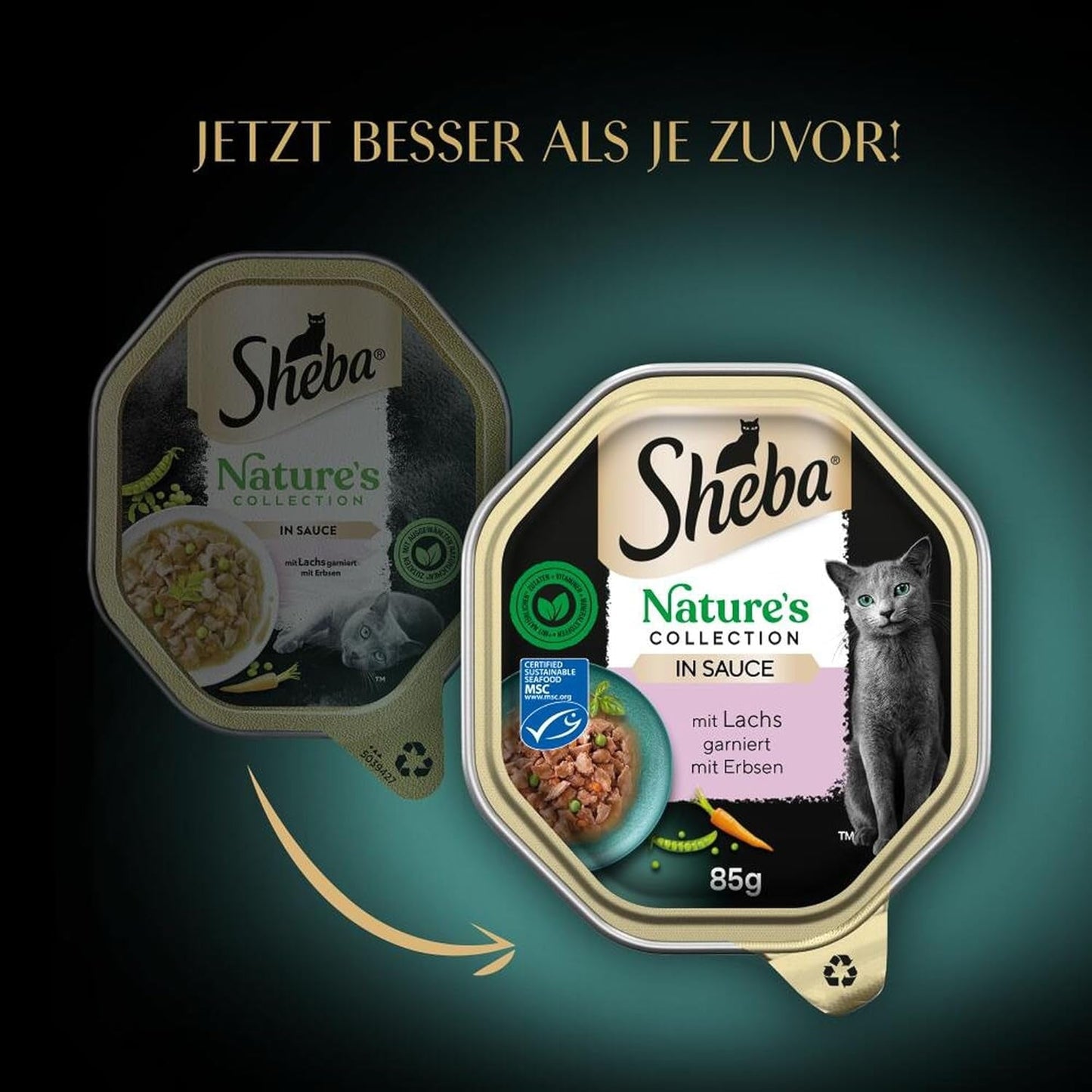 SHEBA Nassfutter für Katzen, Nature's Collection in Lachssauce, 2 x 11 x 85 g