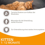 IAMS Delights Kitten Nassfutter - Multipack Katzenfutter mit Hunn in Sauce, hochwertiges Futter für Junior Kätzchen von 1-12 Monaten, 12 x 85 g