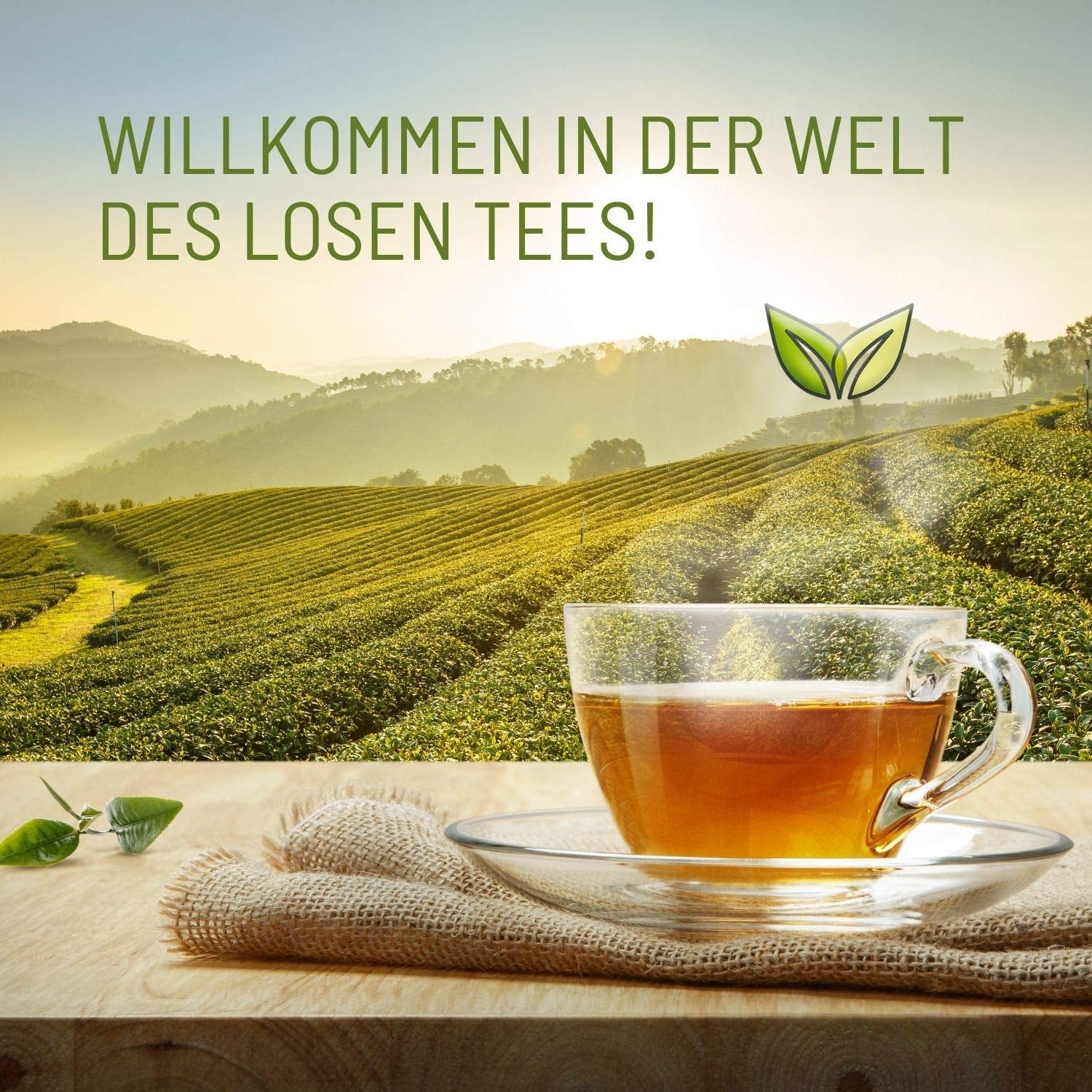 Teeverliebt - Darjeeling Bio Second Flush 1000G I Darjeeling-Tee FTGFOP1 aus Indien I Leichter Schwarztee mit vollem Geschmack I 1 kg