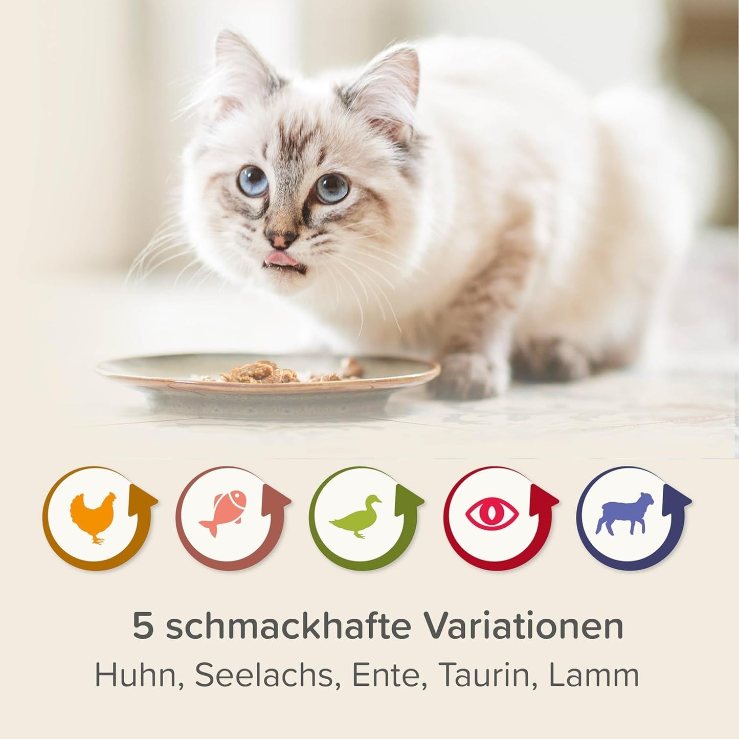 BEAPHAR – Nierendiät Mix Pack – Diätalleinfuttermittel Für Katzen Mit Chronischer Niereninsuffizienz – Zur Unterstützung Der Renenfunktion – 6X 100 g
