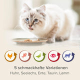 BEAPHAR – Nierendiät Mix Pack – Diätalleinfuttermittel Für Katzen Mit Chronischer Niereninsuffizienz – Zur Unterstützung Der Renenfunktion – 6X 100 g