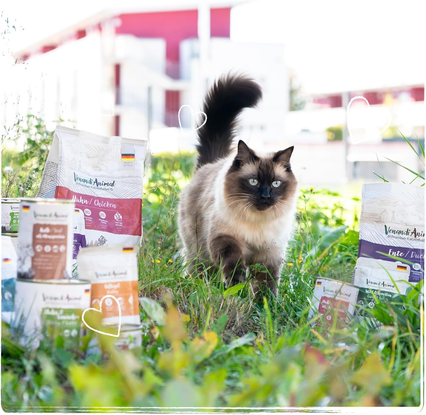 Venandi Animal Premium Nassfutter für Katzen, Probierpaket II, Huhn + Kaninchen, Kalb, Truthahn, 6 x 400 g, getreidefrei und naturbelassen, 2,4 kg