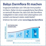 HiPP PRE Bio-Combiotic-Formel, trinkfertig (6 x 200 ml). Säuglingsmilch von Geburt an enthält nur Laktose als Kohlenhydrate, beste Bio-Qualität