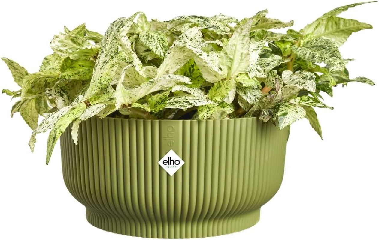 elho Vibes Fold Bowl 25 – Blumentöpfe für den Innenbereich – 100 % recycelter Kunststoff – Ø 24,9 x H 12,1 cm – Grün/Ferngrün