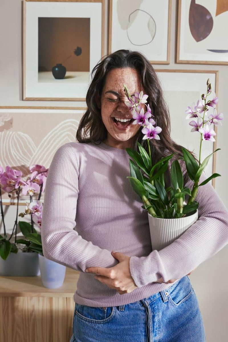 elho Vibes Fold Orchid High 12,5 cm – Orchideentöpfe für den Innenbereich – Blumentöpfe für den Innenbereich – 100 % recycelter Kunststoff – Weiß/Seidenweiß