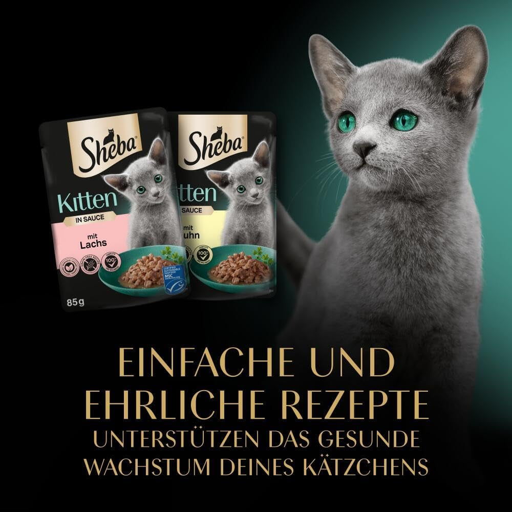 Sheba Nassfutter für Kätzchen, in sortierten Beuteln, mit Lachs (MSC) und Huhn in Sauce, Multipack 40x85g