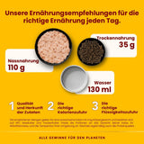 Almo Nature HFC Nasses natürliches Katzenfutter – Hähnchenschenkel, 24er-Pack (24 x 70 g)