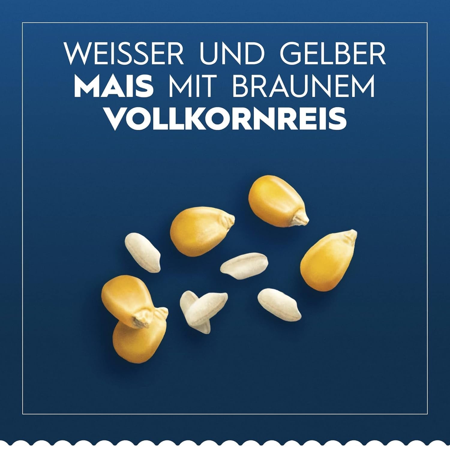 Barilla Penne Rigate glutenfreie Pasta aus köstlichem Mais und Reis – perfekt für Menschen mit Zöliakie oder Glutenunverträglichkeit (14 x 400 g)