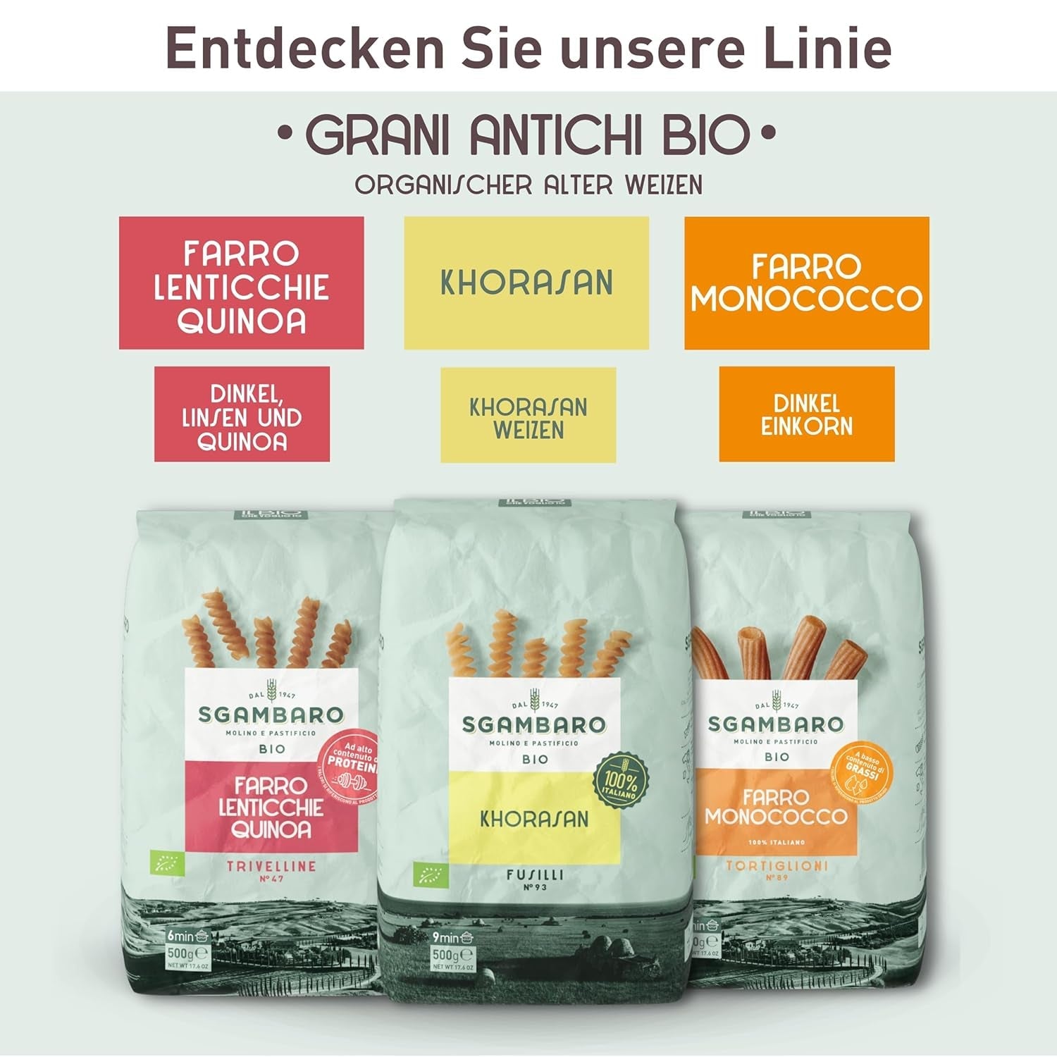 Bio-Penne-Rigate-Nudeln N.91 – 500 g mit Dinkelmehl, Linsenmehl und Quinoa-Mehl – ​​reich an Proteinen, Ballaststoff- und Proteinquelle