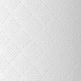 Toilettenpapier Renova Jumbo BLK, 12 Rollen à 170 M, weißes Papier, 2 Lagen
