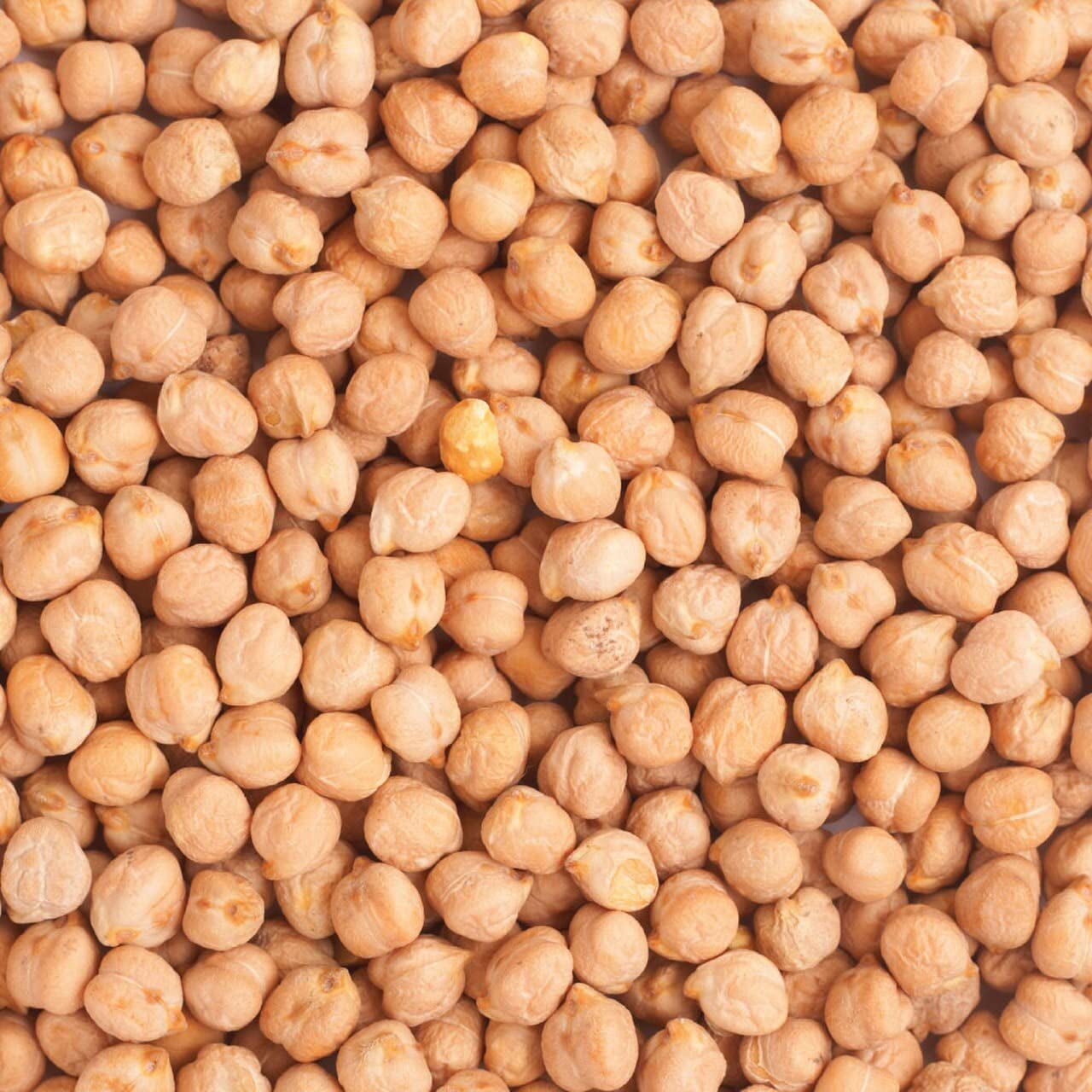 Wholefood Earth Bio-Kichererbsen 3 kg | GVO-frei | Vegan | Reich an Ballaststoffen | Reich an Protein | Bio-zertifiziert