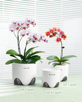 Orchideen-Blumentopf mit Drainagelöchern zum Umpflanzen, hervorragende Luftzirkulation, 2 Stück, doppelschichtiger Kunststoff, Keramik-Orchideen-Übertopf, transparenter Orchideen-Blumentopf, dekorativ