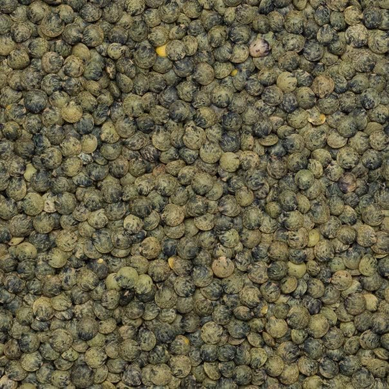 Wholefood Earth Bio-Dunkelgrüne Linsen nach französischer Art 1 kg gentechnikfrei | Vegan | Reich an Ballaststoffen | Reich an Protein | Bio-zertifiziert