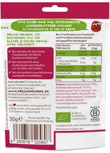FRECHE FREUNDE Bio-Fruchtgelees, Apfel-, Himbeer- und Reislutscher, fruchtig-süßer Snack für Kinder, glutenfrei, vegan, 20er Pack (20 x 30 g)