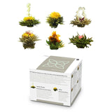 Elegante 6er-Mischbox von Feelino – Weiße Teeblüten von Feelino in einer wunderschönen Probier- und Geschenkbox mit 6 verschiedenen weißen Teerosen, einzeln vakuumverpackt, 1er-Packung