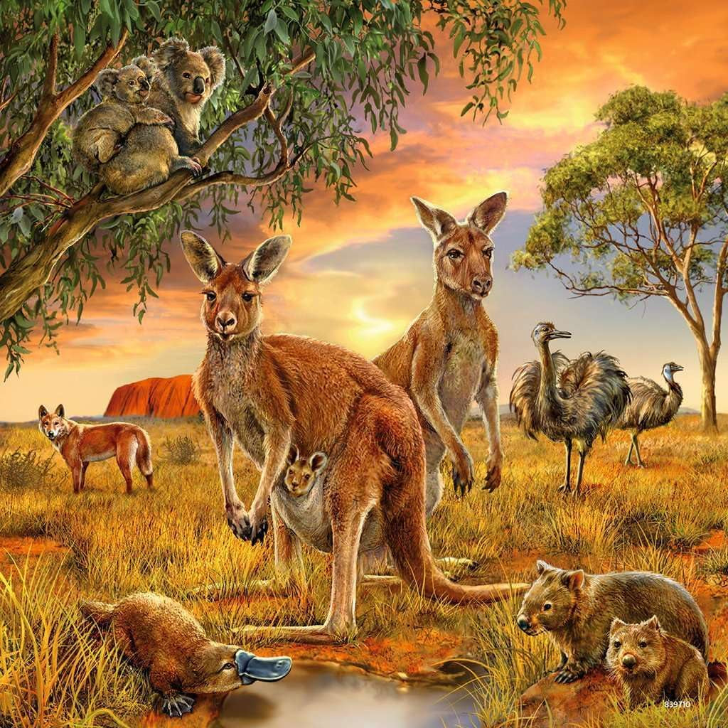 Ravensburger Puzzle für Kinder – 09330 Tiere der Erde – Puzzle für Kinder ab 5 Jahren, mit 3X49 Teilen Puzzle Naty Shop
