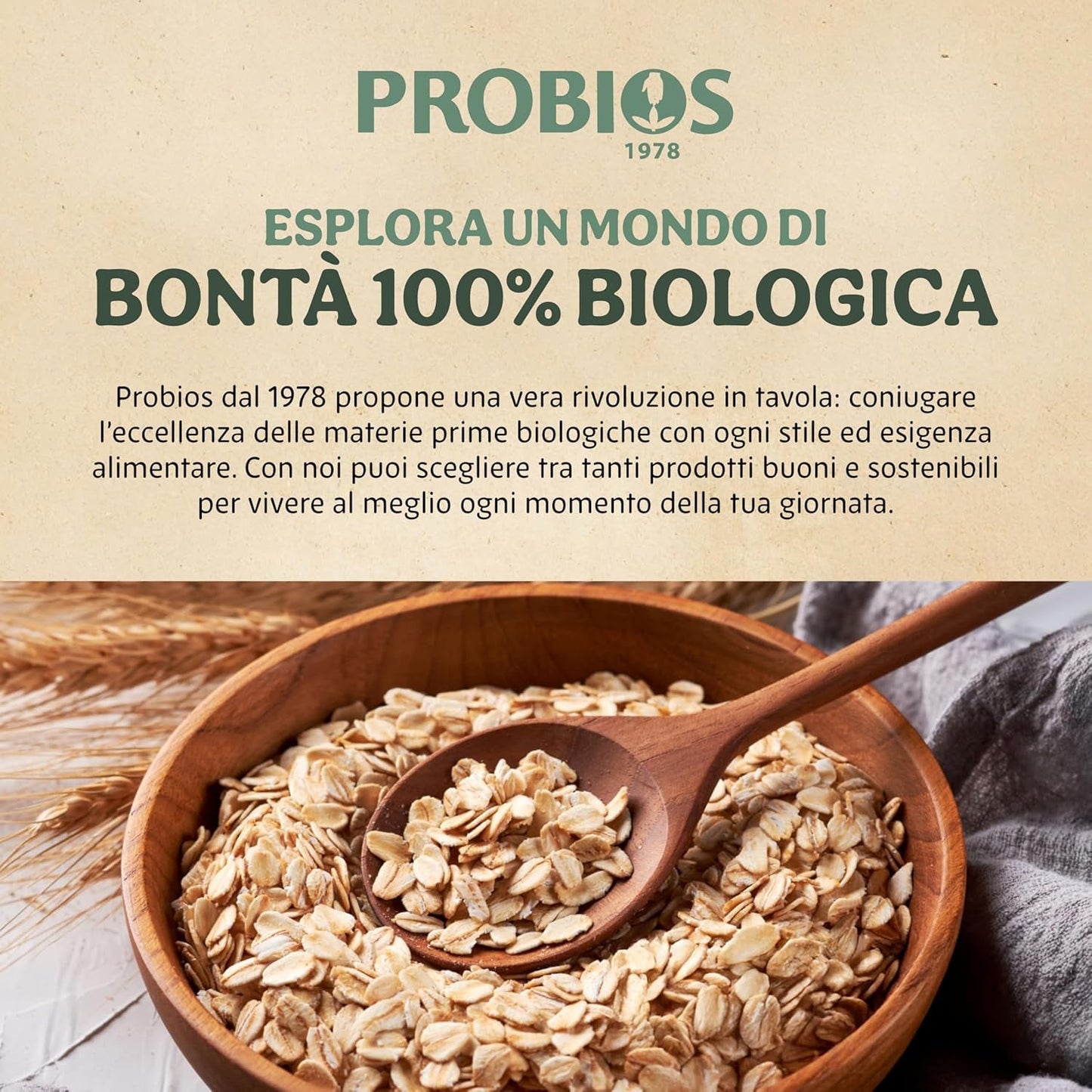 Leichte Bio-Cornflakes 500g pro Packung