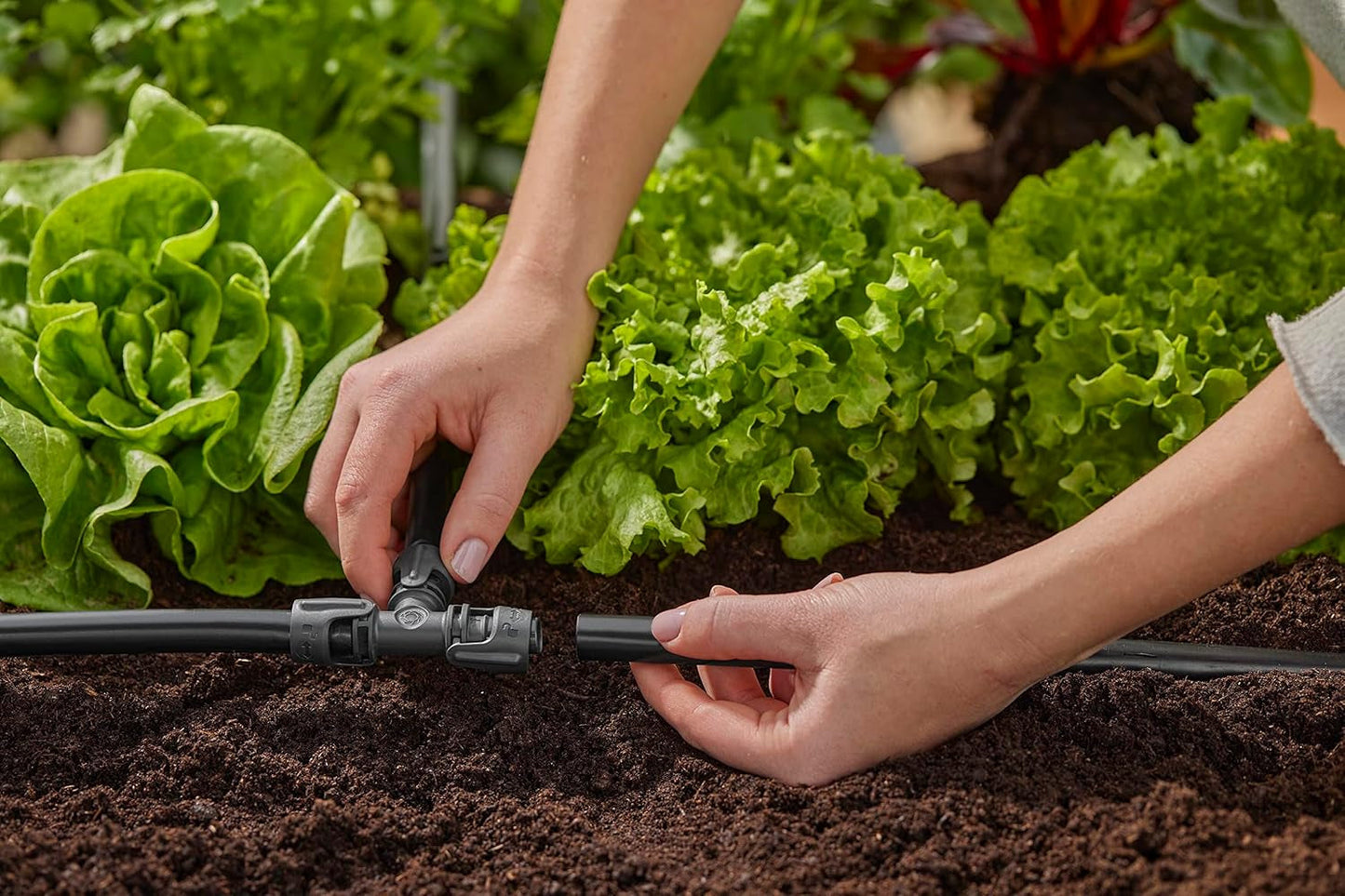 Gardena Micro-Drip-Bewässerungssystem T-Stück 13 mm (1/2 Zoll): Anschluss für 13 mm Zulaufrohre, T-Abzweig, automatische Bewässerung, wiederverwendbar (13201-20)
