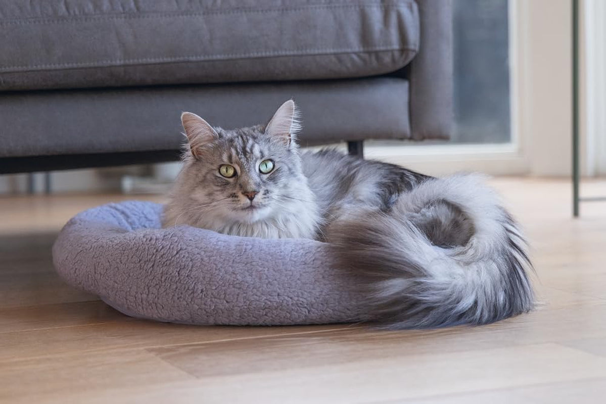 Betten, Decken & Möbel, Haustiere, Katzen, Katzenbetten, Katzenbetten, Matratzen